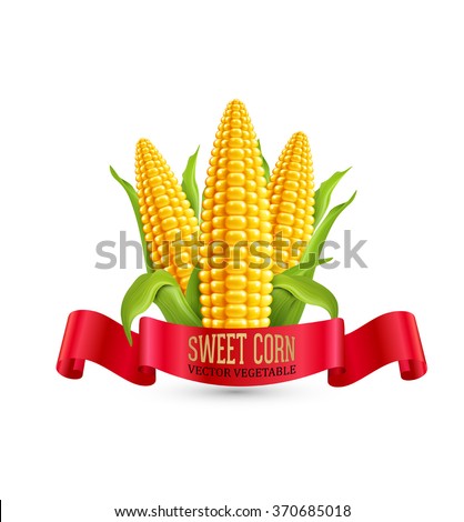 Vector corn. Three ear of corn with leaves and red ribbon. Element for design