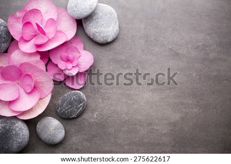 Close up view of spa theme objects on grey background.