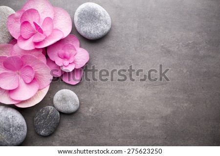 Close up view of spa theme objects on grey background.