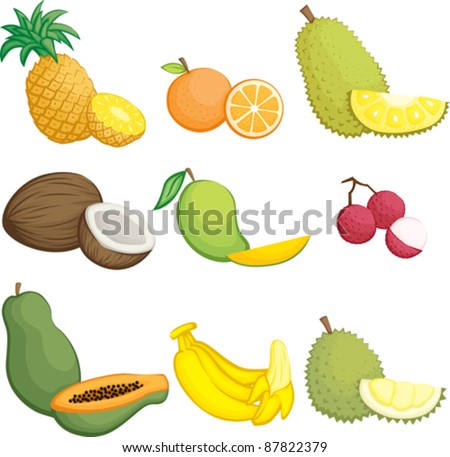 A vector illustration of tropical fruits icons