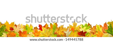 Seamless pattern of autumn leaves, lying on the ground.