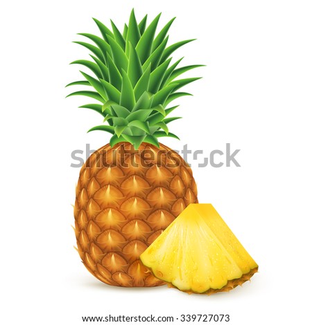 Ripe pineapple with slices isolated on white background. Vector illustration for decorative poster, emblem natural product, farmers market. Perfect for packaging design of cosmetics and food.