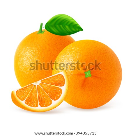 Ripe oranges fruits and slices with leaf isolated on white background. Realistic vector illustration.