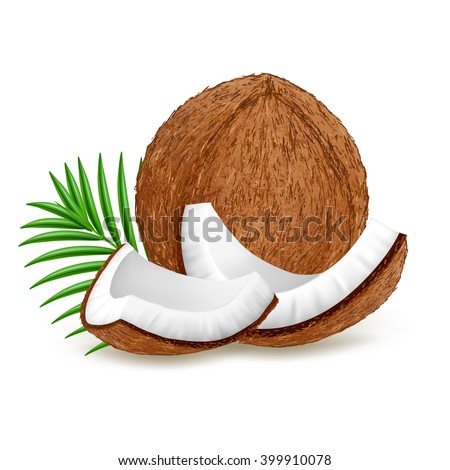 Whole and pieces coconut with leaves isolated on white background. Realistic vector illustration.