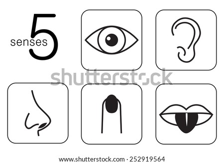 Five Senses Stock Photos, Images, & Pictures | Shutterstock