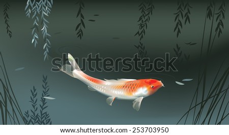 Vector illustration of koi carp in evening pond