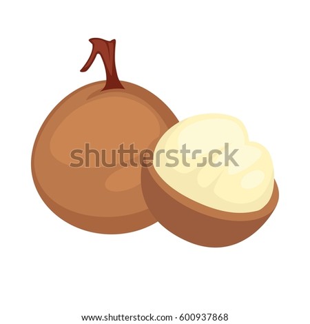 Longan Stock Vectors, Images & Vector Art | Shutterstock