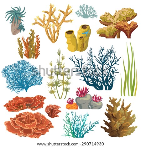 Set of cartoon underwater plants and creatures. Vector isolated corals and algae.