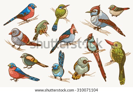 Vector Set Birds Variety Vintage Bird Stock Vector 64176550 - Shutterstock