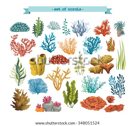Set of isolated colorful corals and algae on a white background. Vector underwater flora and fauna.