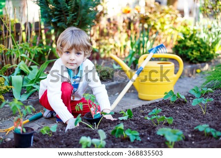 Lovely preschool blond kid boy planting seeds and seedlings of tomatoes in vegetable garden. Happy carefree childhood. Funny child having fun with gardening in spring.