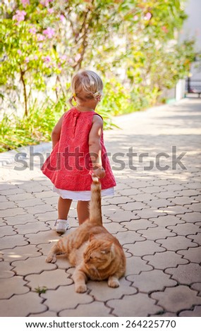 Cat Tail Stock Photos, Images, & Pictures | Shutterstock