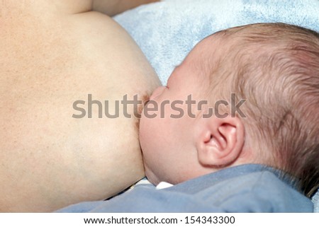 Apologise, but, Breast feeding pet porn Here Breast feeding pet porn magnificent idea
