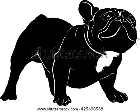 French Bull Dog Stock Images, Royalty-Free Images & Vectors | Shutterstock