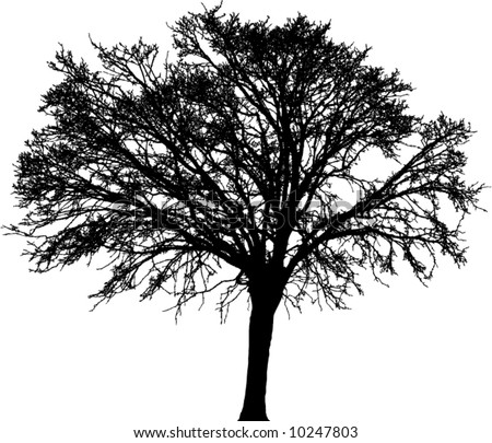 Tree Silhouette Detailed Vector Stock Vector 48819130 - Shutterstock