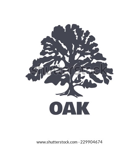 Oak Tree Stock Images,...