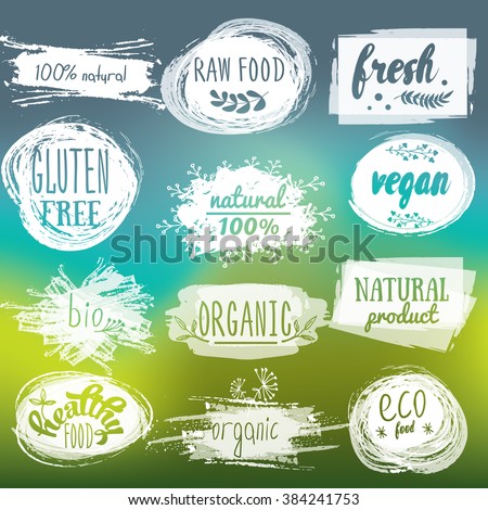 Labels with vegetarian and raw food diet designs. Organic food tags and elements set for meal and drink,cafe, restaurants and organic products packaging.Vector illustrated bio detox logo.