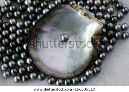 Black lip oyster shell with black pearl. Studio shot isolated on white background.
