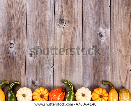 seasonal autumn