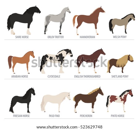 Breed Stock Images, Royalty-Free Images & Vectors | Shutterstock