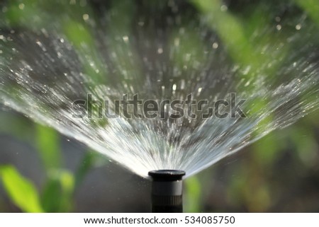 Irrigation system watering green plant