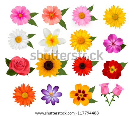 Flowers Stock Images, Royalty-Free Images & Vectors | Shutterstock
