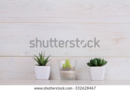 Cactus Background Stock Images Royalty Free Images Amp Vectors Shutterstock