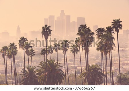 Los Angeles skyline with palm trees in the foreground