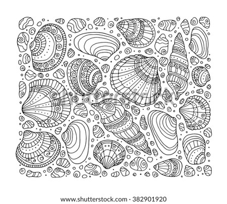 Seashell Pattern Art Background Vector Illustration Zentangle Coloring Book Page For Adult