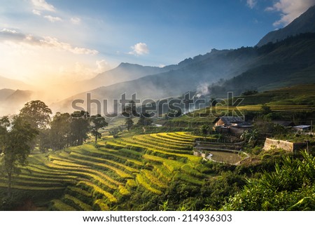Rice fields on terraced in sunset at SAPA, Lao Cai, Vietnam. Rice fields prepare the harvest at Northwest Vietnam