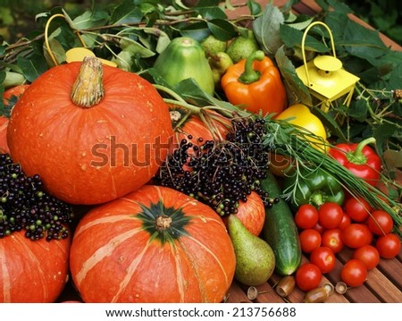 Organic fruit and vegetables - stock photo