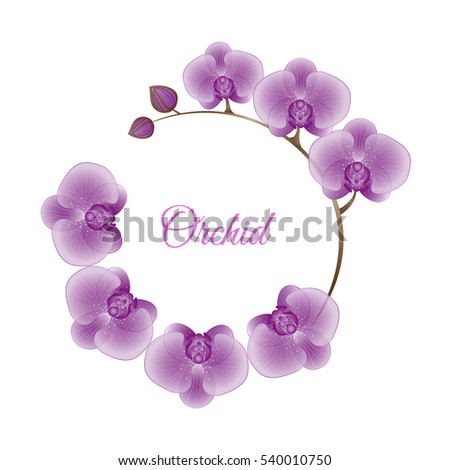 Vector card with decorative flowers of orchids. Can be used for wedding, baby shower, mothers day, valentines day, birthday cards, invitations, greetings.