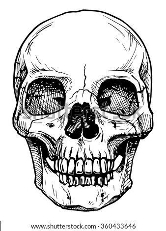 Vector Black White Illustration Human Skull Stock Vector 360433646