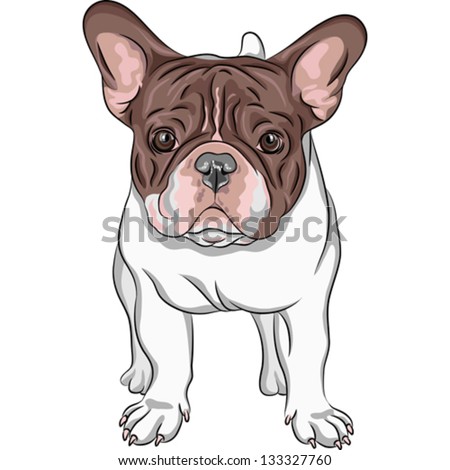French Bulldog Stock Vectors & Vector Clip Art | Shutterstock