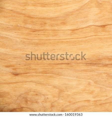 Light Wood Texture Light Wood Texture
