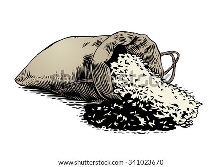 Drawing Sack Rice On White Stock Vector 341023670 - Shutterstock