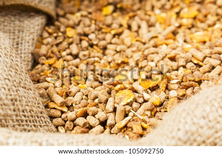 cattle feed stock images royalty free images vectors shutterstock