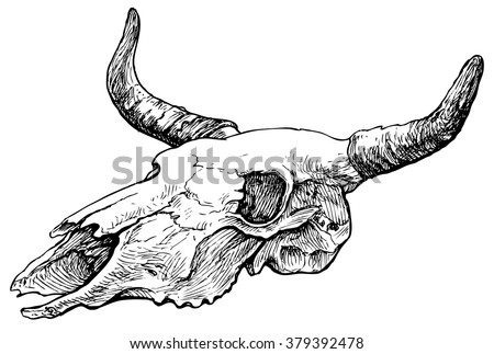 symbol of buffalo white Royalty Images, Skull Stock  Cow Shutterstock  Images & Free Vectors