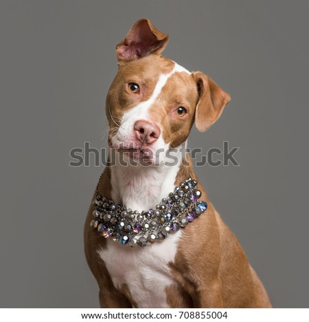 Annmarie Young's Portfolio on Shutterstock