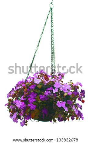 Flower Basket Stock Images, Royalty-Free Images & Vectors | Shutterstock