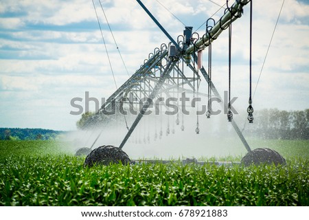 Watering system in the field. An irrigation pivot watering a field