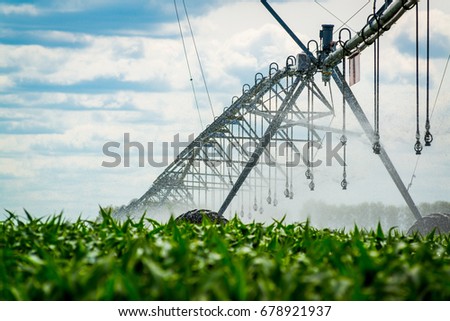 Watering system in the field. An irrigation pivot watering a field
