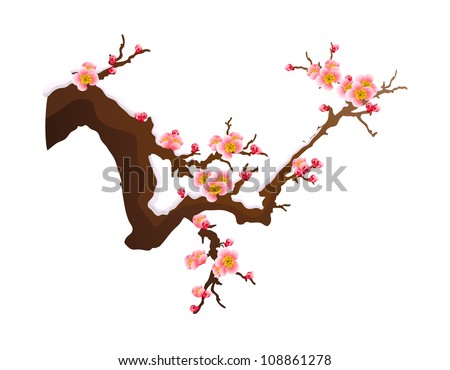 vector flower