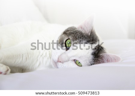 jessicakirsh s Portfolio on Shutterstock