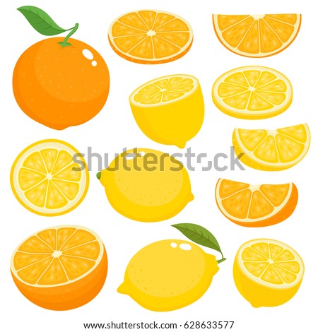 Bright vector set of colorful half, slice and segment of juicy orange and lemon. Fresh cartoon citrus fruits on white background.