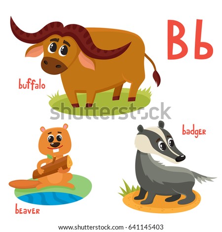 Image result for letter B wild animal