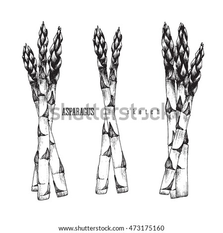 Asparagus Stock Photos, Royalty-Free Images & Vectors - Shutterstock