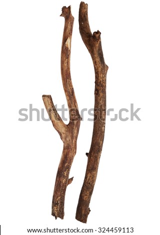 Tree Stick Stock Images, Royalty-Free Images & Vectors | Shutterstock