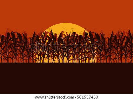 Corn field evening or morning light landscape vector background