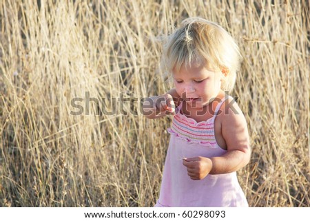 cute toddler girl in yellow field grass